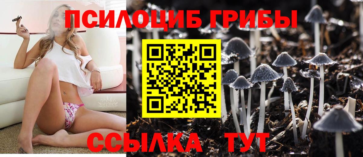 Чапаевск  Псилоцибиновые грибы Psilocybe  Псилоцибиновые грибы мухоморы  Вход с VPN 